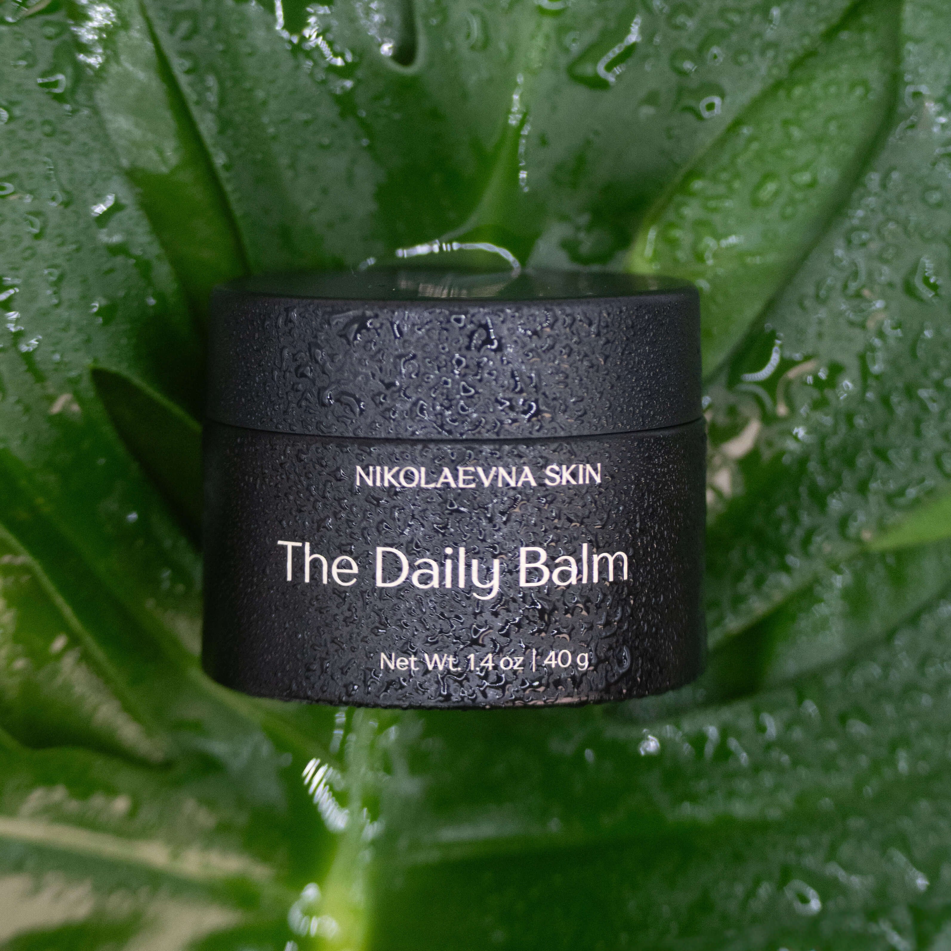 The Daily Balm