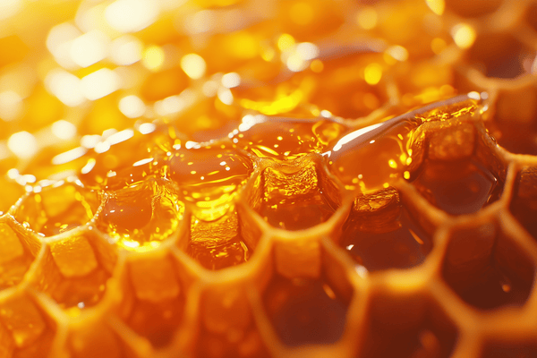 Beeswax (Cera alba)